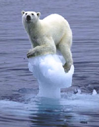 polar-bear-1