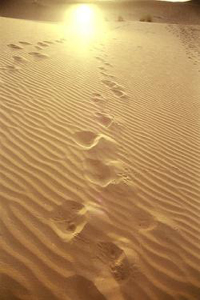sahara-1