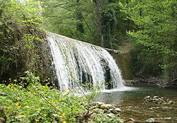 torrente