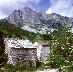 apuane 1