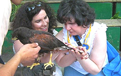 zoo Lisbona Dedalus
