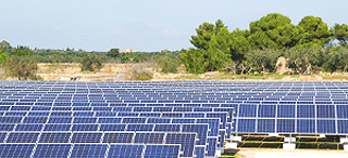 fotovoltaico a terra