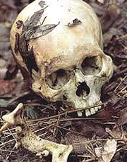 Bosnia resti umani