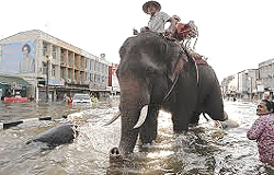 L'alluvione in Thailandia