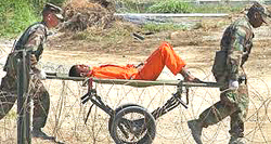 Guantanamo, torture
