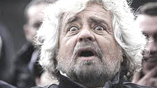 Grillo