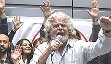 Grillo