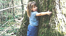 Guarire, abbracciando gli alberi