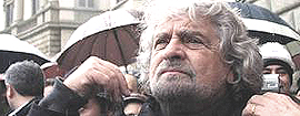 Grillo