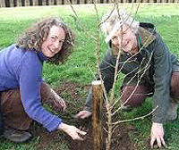 Bristol, transition people