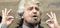 Grillo