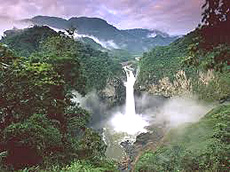 Yasuni Park, Ecuador