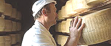 Parmigiano Reggiano