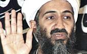 Bin Laden