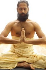 Yogi