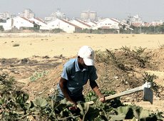 Gaza agricoltore