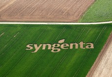 Syngenta