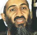 Bin Laden