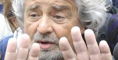 Grillo