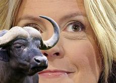 Bufalo e Lorenzin