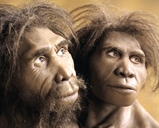 Homo Erectus