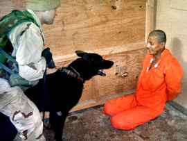 Guantanamo, tortura
