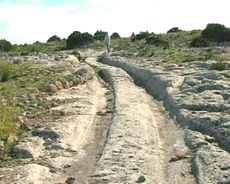 Castellar de Meca, solchi pietrificati sul terreno