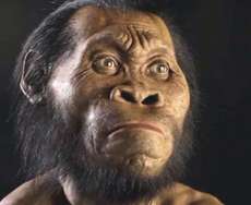 Homo Naledi