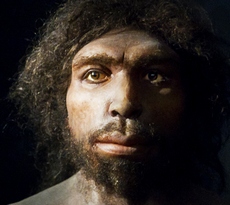 L'Homo Antecessor scoperto in Spagna, visse 1,2 milioni di anni fa?