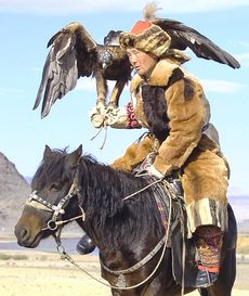 Mongolia, falconiere a cavallo con un'aquila