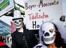 Germania, proteste contro la fusione tra Bayer e Monsanto