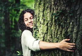 Abbracciare gli alberi