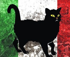 Gatto Nero Italia