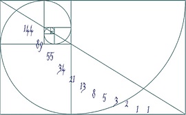 La spirale aurea di Fibonacci