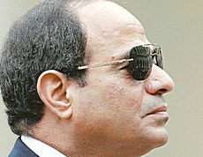 Il generale Al-Sisi, padrone dell'Egitto