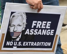 Free Assange