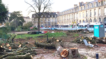 Francia, una piazza disboscata in Aquitania