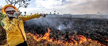 Brasile, la foresta incenerita