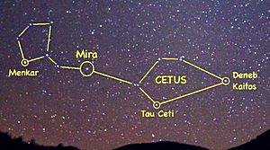 Tau Ceti